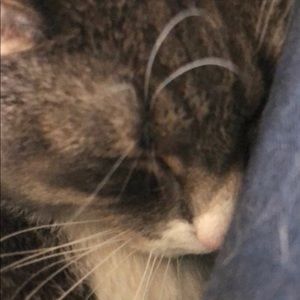 Meet your Posher, Traci